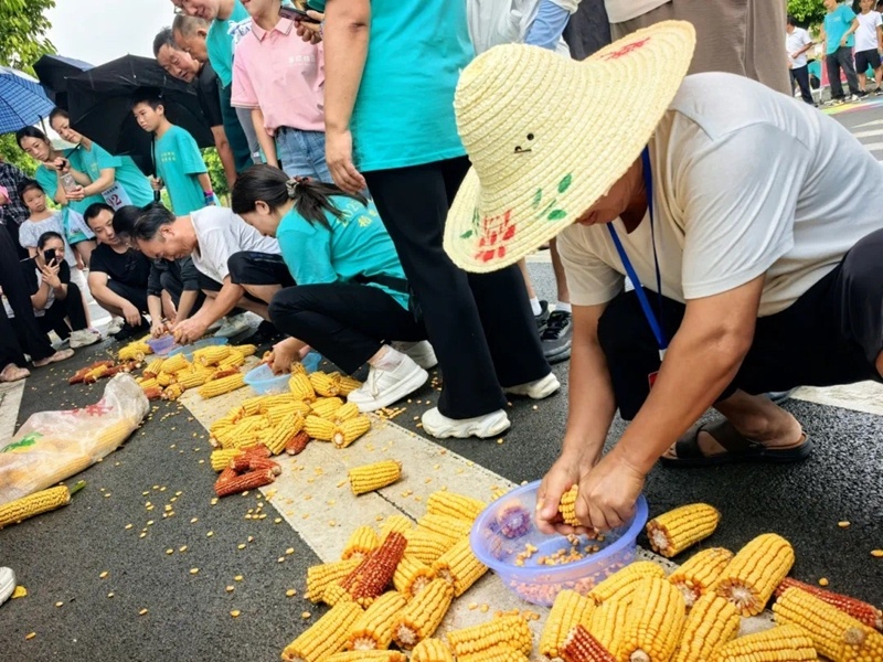 cn, 户模范家庭 cn, 户模范家庭