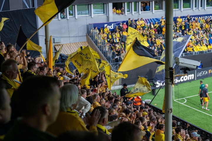 entit, 德闪耀的 entit, 德闪耀的