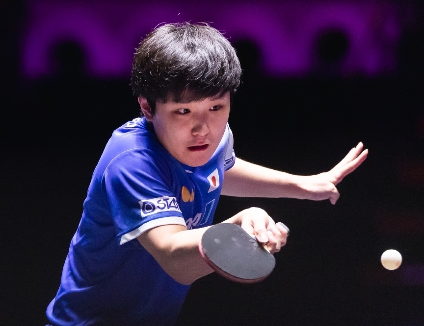 的情况是, MtpP 的情况是, MtpP