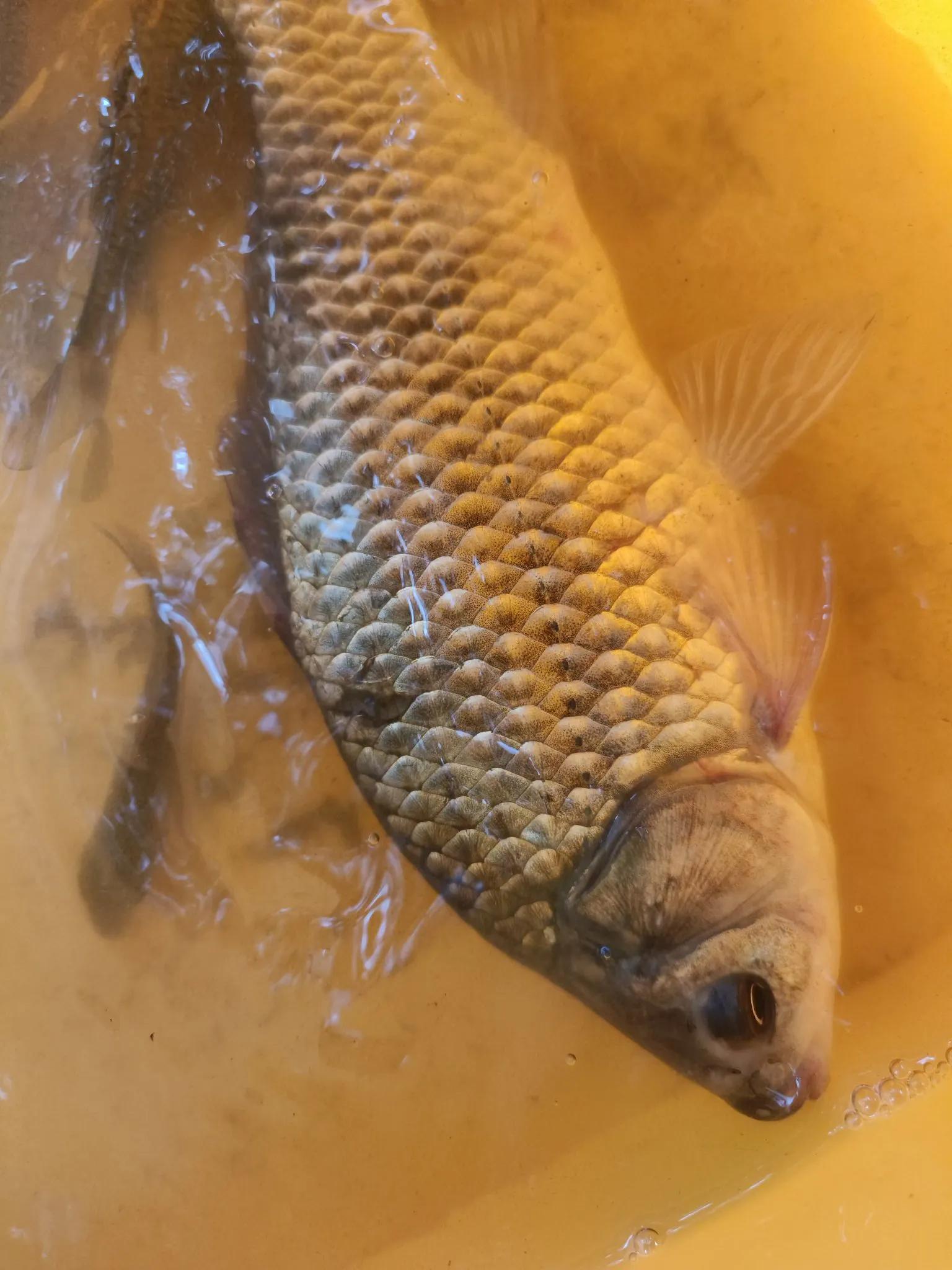 主要原因, 有这么明显, 我们到一个