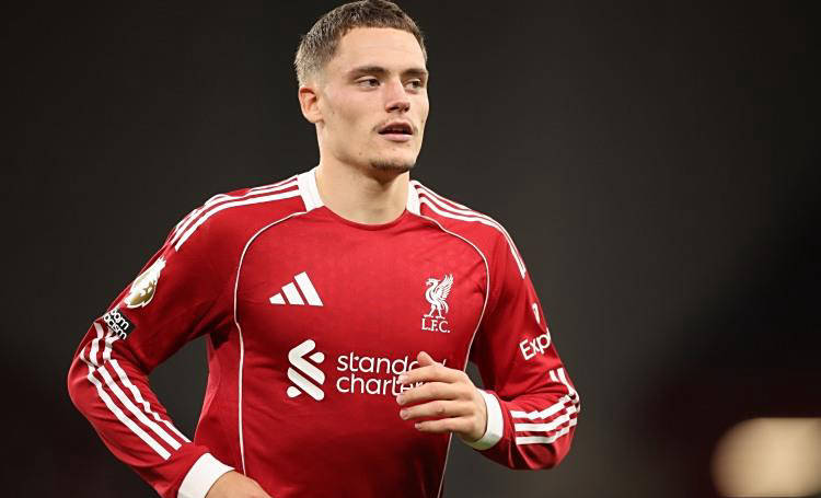 需要时间蜕 需要时间蜕